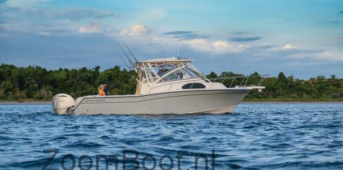 Grady White 300 Marlin specificaties